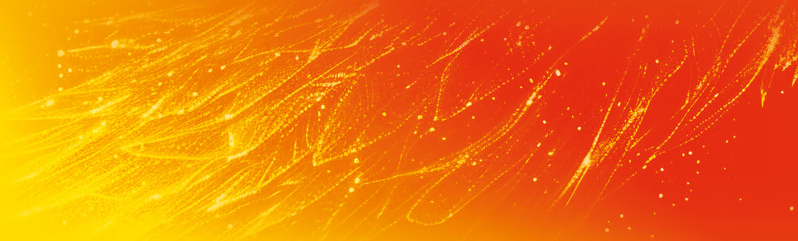 Plumes de phénix